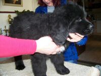 Isamu_Michio (2).JPG